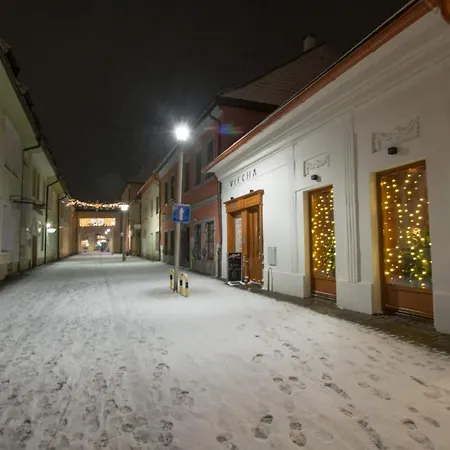 Penzion Viecha